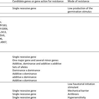 Genetic and Management Options for Controlling Striga - Springer